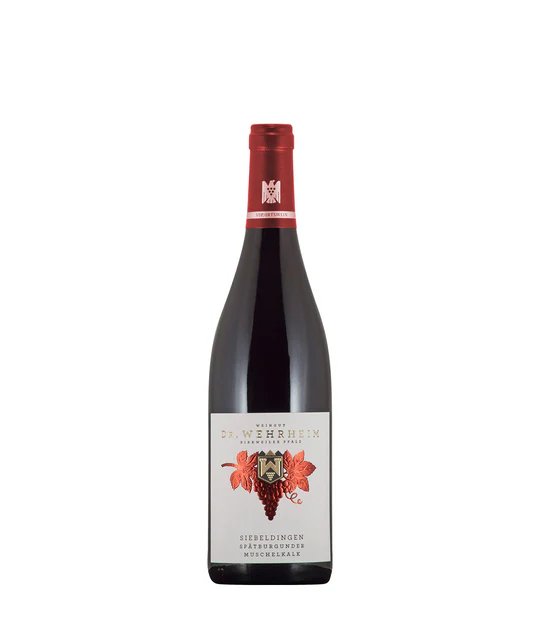 Spätburgunder Siebeldingen trocken